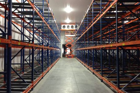 Electrical and Plumbing Systems