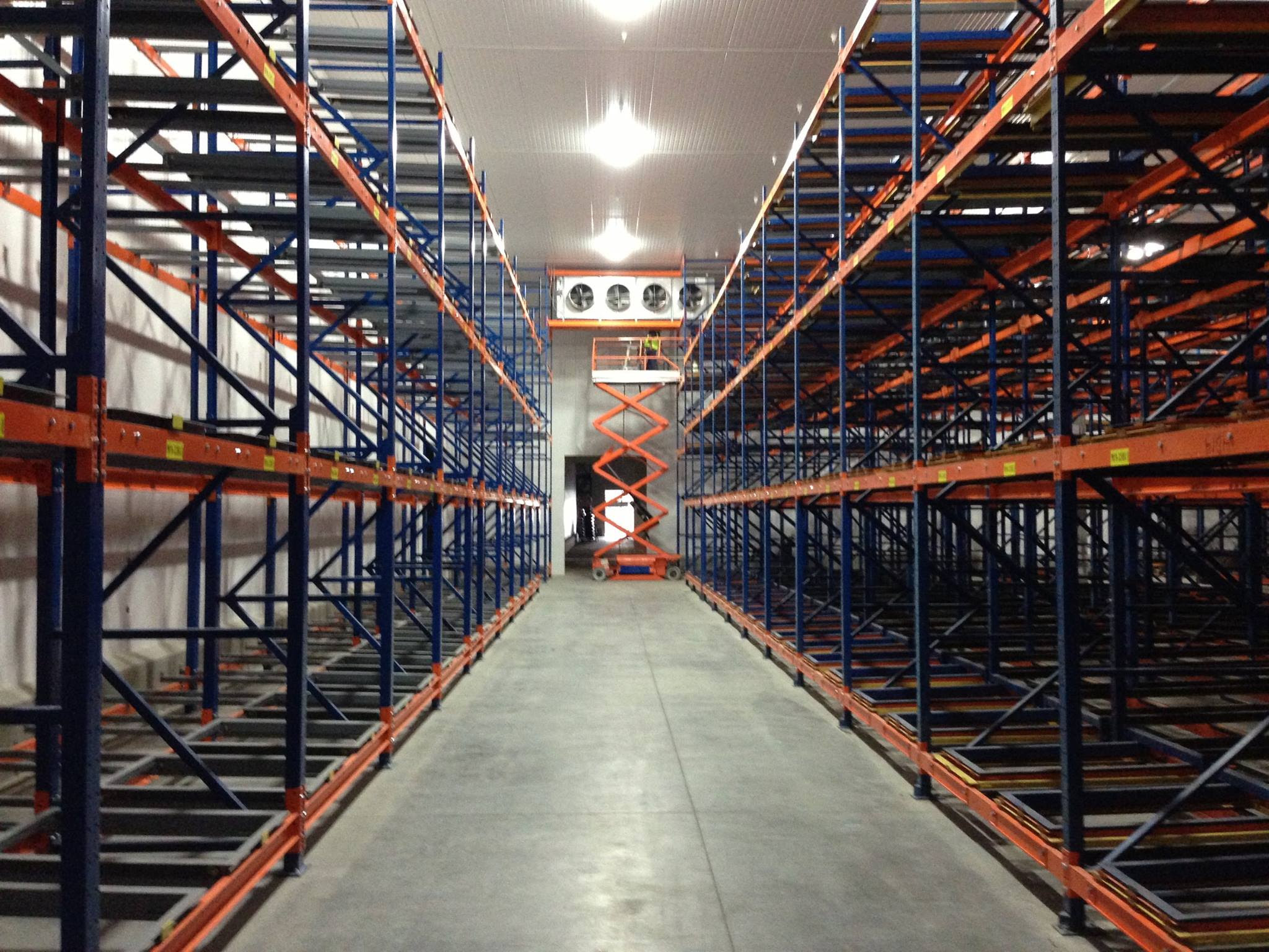 Electrical and Plumbing Systems